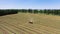 Rural landscape field meadow with hay bales in evening sunshine. A round baler discharges a fresh wheat bale during