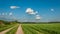 Rural landscape. field sandy road