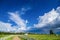 Rural landscape with field, trees, grass and cows. Ecologically clean area with blue sky and clouds