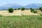 Rural landscape with fields and mount Erymanthos in Greece