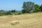 Rural landscape with fields and mount Erymanthos in Greece