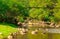 Rural landscape of a freshwater stream in the Municipality of Silveira Martins in Brazil