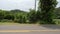 Rural Landscape with Grass, Fence and Road in Countryside