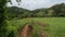 Rural Landscape with Grass, Fence and Road in Countryside