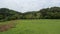 Rural Landscape with Grass, Fence and Road in Countryside