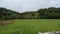 Rural Landscape with Grass, Fence and Road in Countryside