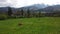 The rural landscape of GubaÅ‚Ã³wka in the foothills of Tatra mountains