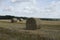 Rural landscape. Harvested field and straw bales. Blue sky. Horizon. August.