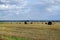 Rural landscape. Harvested field and straw bales. Blue sky. Horizon. August.