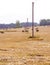 rural landscape with hay bales and power line poles