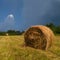 Rural landscape with hay stacks, field with roll bales near forest, domestic livestock fodder during wintertime