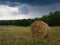 Rural landscape with hay stacks, field with roll bales near forest, domestic livestock fodder during wintertime, summer shower