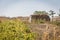 Rural landscape haystack