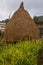 Rural landscape with haystack at Bandipur village in Nepal