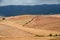 Rural landscape on the hills of Orciano Pisano, Tuscany