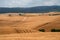 Rural landscape on the hills of Orciano Pisano, Tuscany