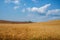 Rural landscape on the hills of Orciano Pisano, Tuscany