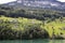 Rural landscape on Lake Lucerne