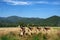 Rural landscape in Lazio near Labro, Rieti province