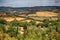 Rural landscape of Maremma, Tuscany, Italy.