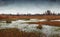 Rural landscape with meadow and puddles