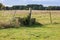 Rural landscape with a metal fence in the field and old horse trough