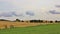 Rural landscape in Moen, Denmark. Fields and trees.