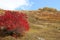 Rural landscape in mountains with fields, trees and haystack in autumn. Caucasus mountains, Georgia