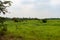 rural landscape of nature. photo of rural landscape look scenery. rural landscape in countryside.