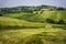 Rural landscape near Agazzano, Emilia-Romagna, at May