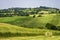 Rural landscape near Agazzano, Emilia-Romagna, at May