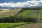 Rural landscape near Chieti, Italy