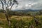 Rural landscape near Leymebamba village in northern Pe