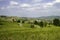 Rural landscape near Pianello Val Tidone, Emilia-Romagna, at May