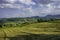 Rural landscape near Pianello Val Tidone, Emilia-Romagna, at May