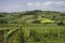 Rural landscape near Pianello Val Tidone, Emilia-Romagna, at May