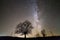 Rural landscape at night. Dark trees under black starry sky with Milky Way constellation