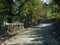 Rural landscape with old road in forest