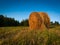 Rural landscape with one roll bale in field during dusk, straw haystack as cattle fodder