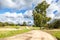 Rural landscape with orthodox church, road and birch