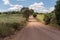 Rural landscape pampa biome in southern Brazil