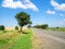 rural landscape - road along wheat field in summer