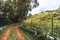 Rural landscape with a road and hills in the subtropics