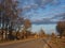 Rural landscape. A road leading into the distance, trees along the edges and a blue sky with clouds