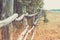 Rural landscape with rough fence, forest and meadow