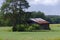 A rural landscape with a rusted barn wheat field with and tree