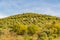 Rural Landscape Scene, Patras, Greece