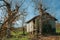 Rural landscape with a shabby shack next to trees