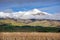 Rural landscape with sheep grazing, snow capped mountains and blue, cloud sky