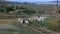 Rural landscape of a shepherd with a herd of goats. A shepherd leads a herd of goats along a path in the steppe zone